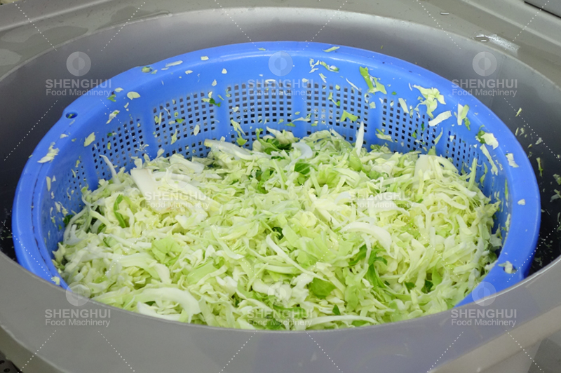 Lavadora de burbujas 1