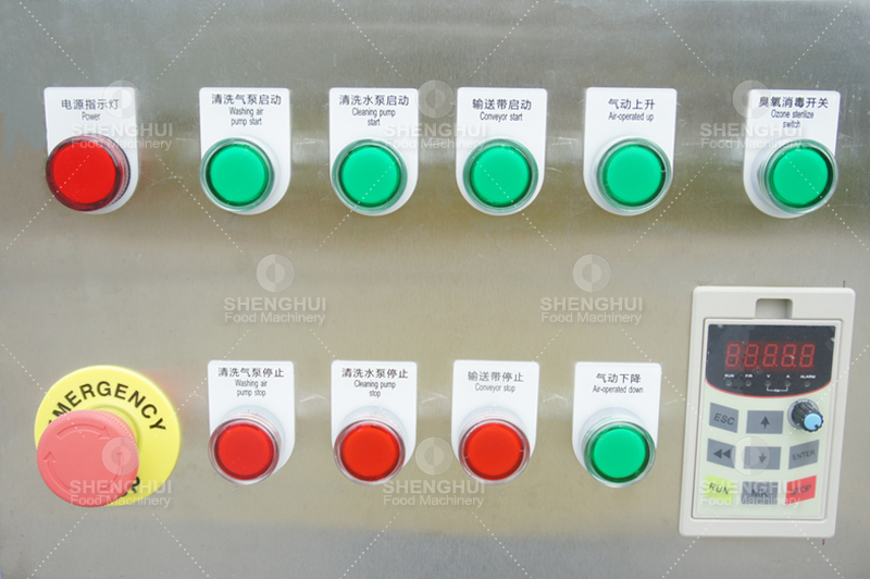 Lavadora de verduras 1