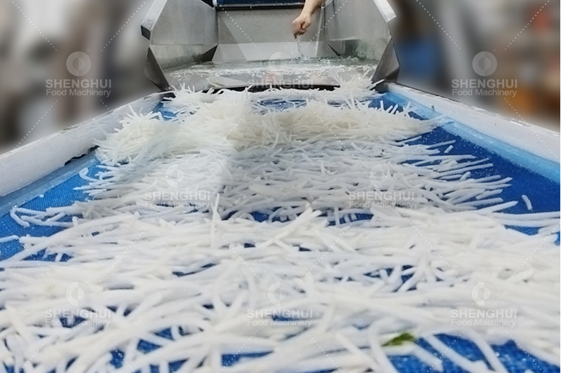 L&iacute;nea de procesamiento de hortalizas1