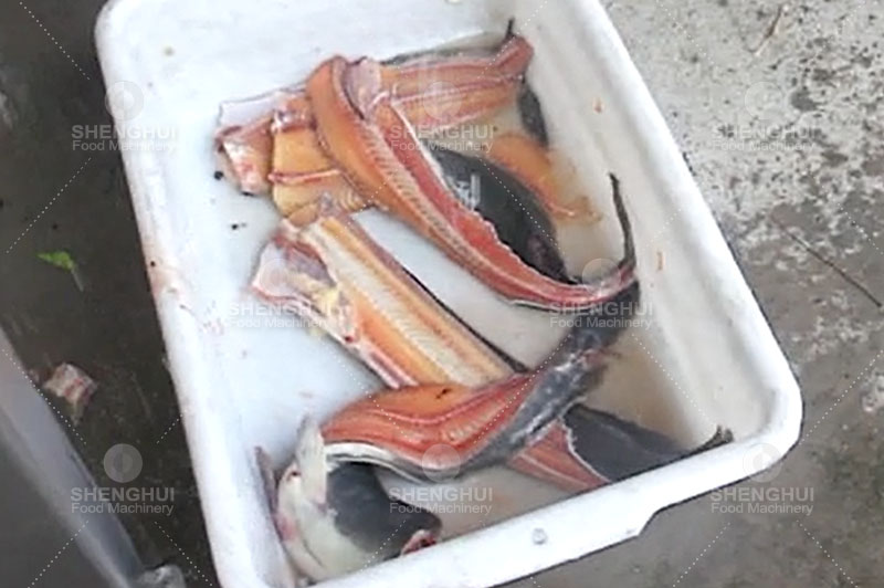 cortador de pescado 1