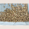 Máquina automática para extraer semillas de longan, máquina para deshuesar dátiles rojos, máquina para alimentos, máquina para deshuesar cerezas
