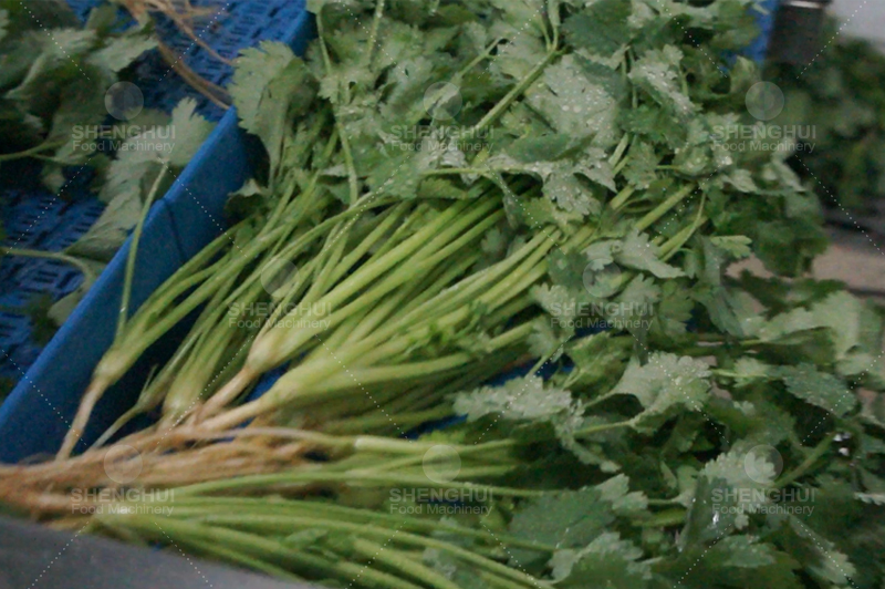 Equipo de limpieza 1