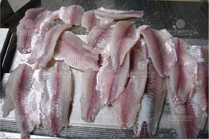 M&aacute;quina de procesamiento de Alimentos1