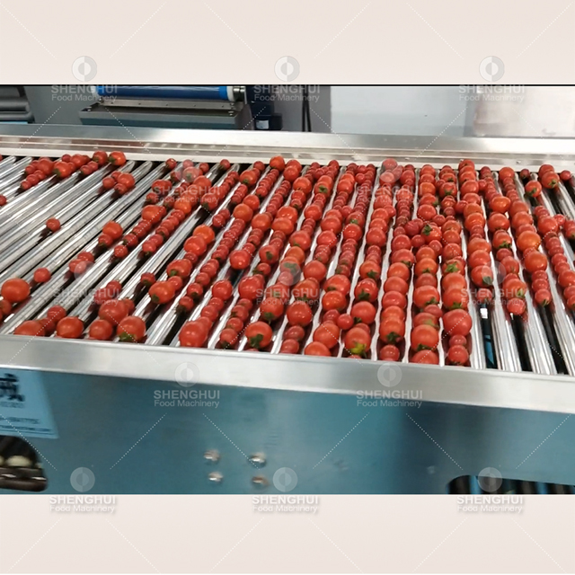 Máquina clasificadora automática de frutas, clasificadora de tomates cherry, clasificadora de patatas, máquina clasificadora de arándanos
