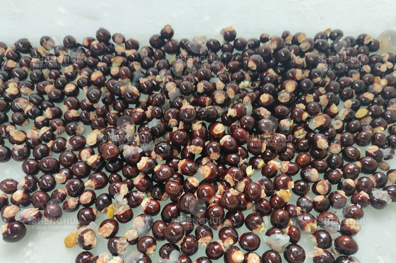 M&aacute;quina extractora de semillas de longan (3).jpg