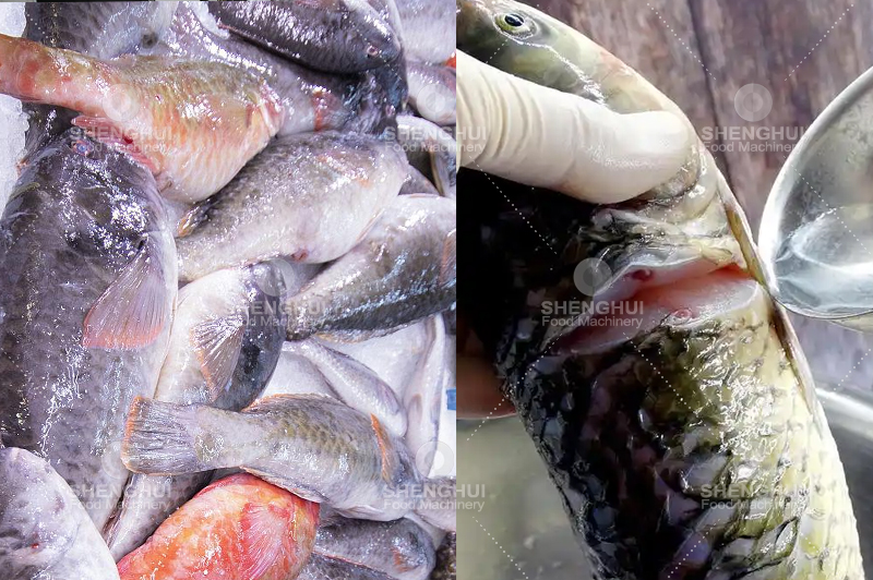 Lavadora de carne (2)