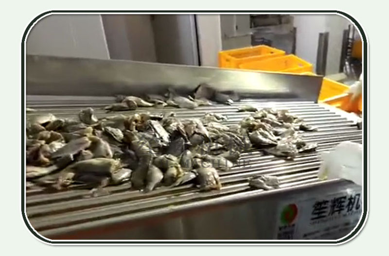 l&iacute;nea de producci&oacute;n de pescado