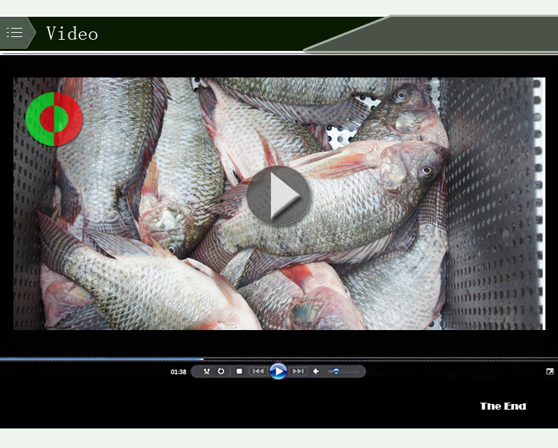 m&aacute;quina peladora de piel de patata