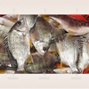 Máquina automática para quitar escamas de pescado, descamadora de pescado, procesadora de mariscos, descamadora de pescado