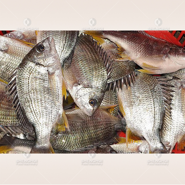 Máquina automática para quitar escamas de pescado, descamadora de pescado, procesadora de mariscos, descamadora de pescado
