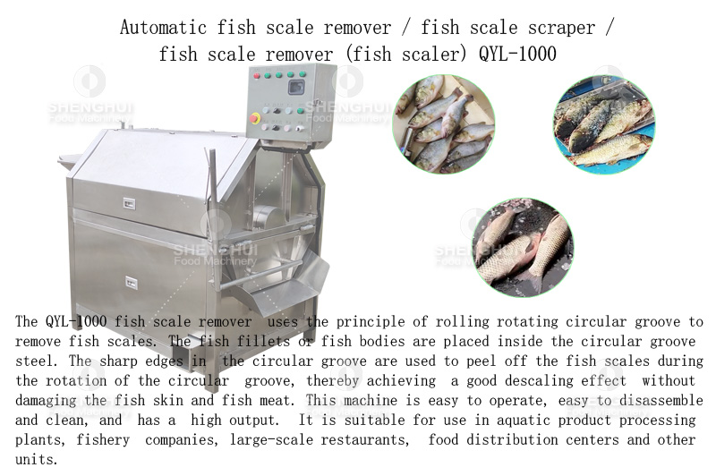 M&aacute;quina desescamadora de pescado (4)