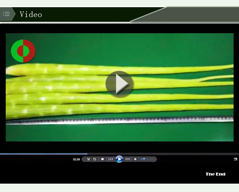 equipo de procesamiento de alimentos