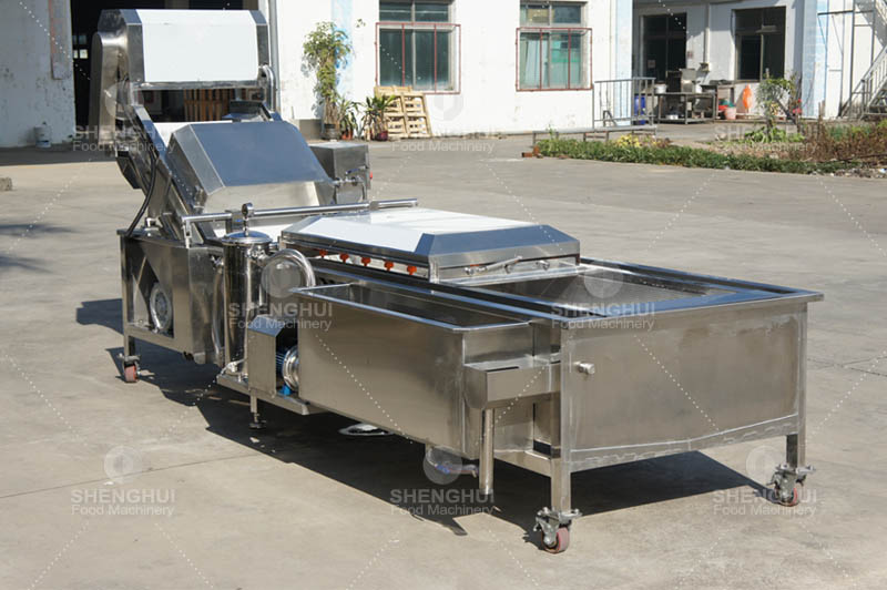 m&aacute;quina de limpieza de frutas 1