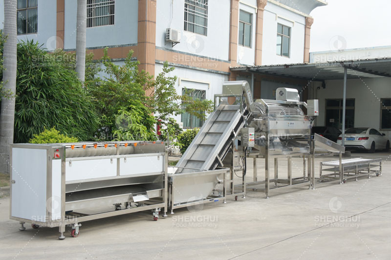 m&aacute;quina de eliminaci&oacute;n de escamas de pescado 1