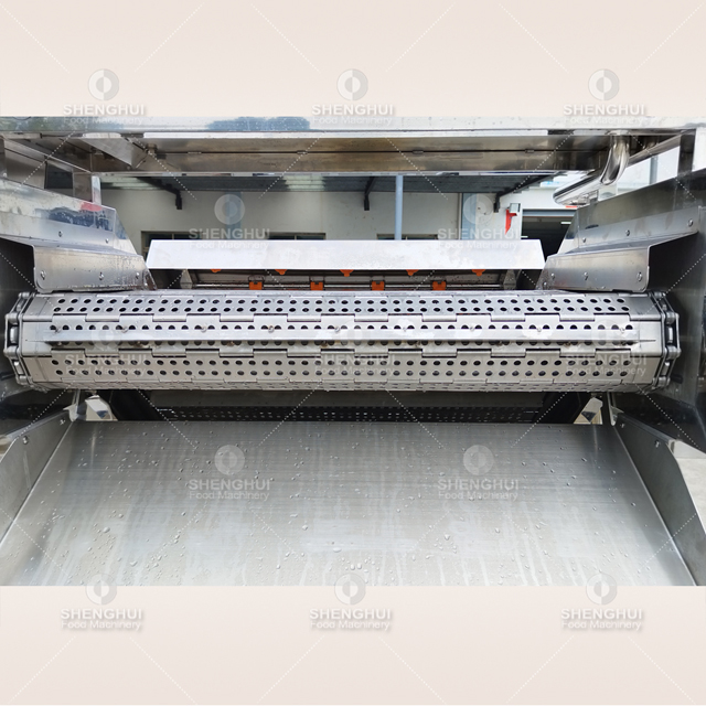 Lavadora automática de pescado, máquina de limpieza de pescado, lavadora de carne, máquina desalinizadora de pescado