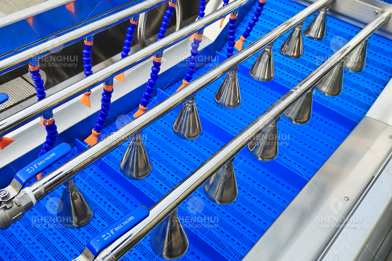 Lavadora de verduras (1)