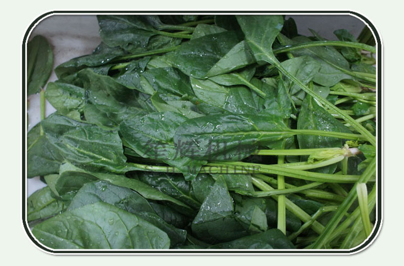 m&aacute;quina de limpieza de frutas