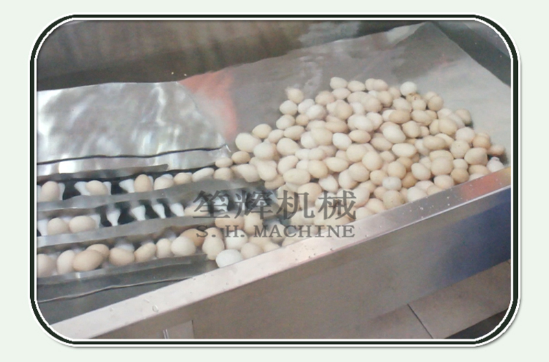 equipo de procesamiento de huevos