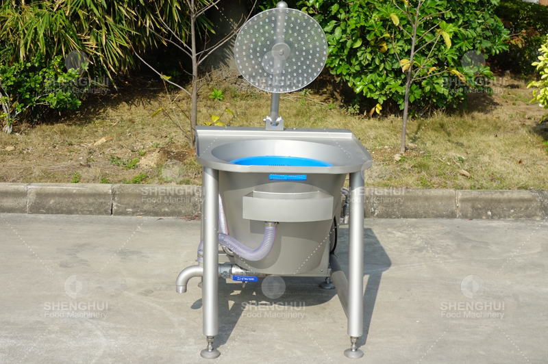 Equipo de procesamiento de frutas