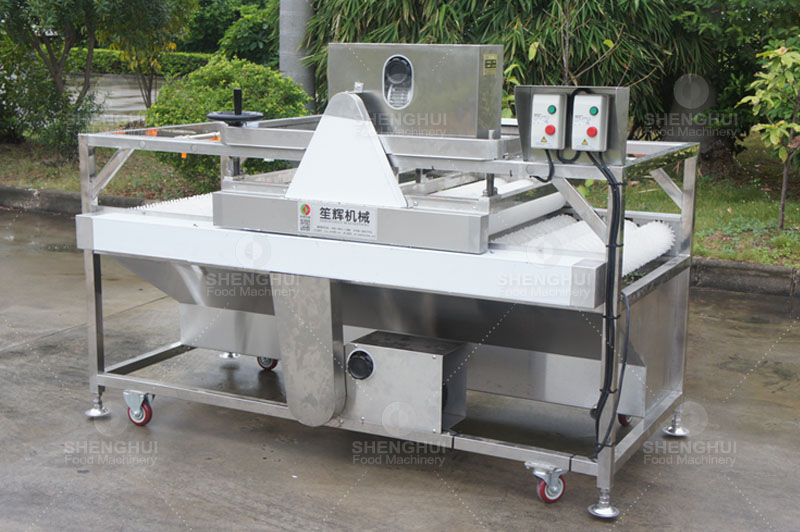 m&aacute;quina de limpieza de frutas 1