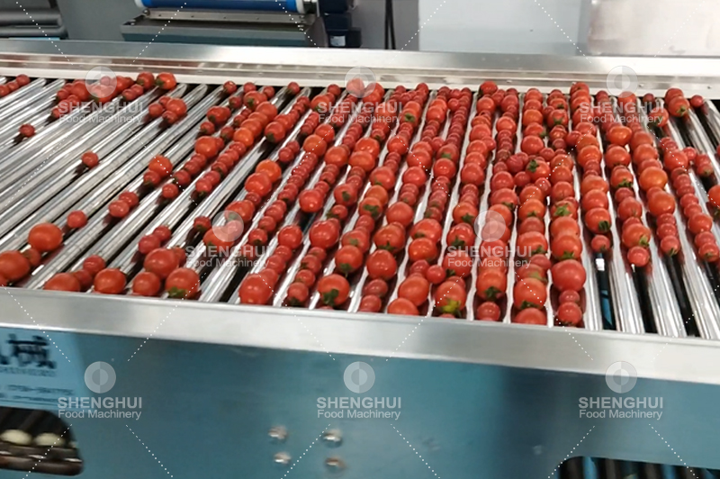 m&aacute;quina clasificadora de frutas (3)