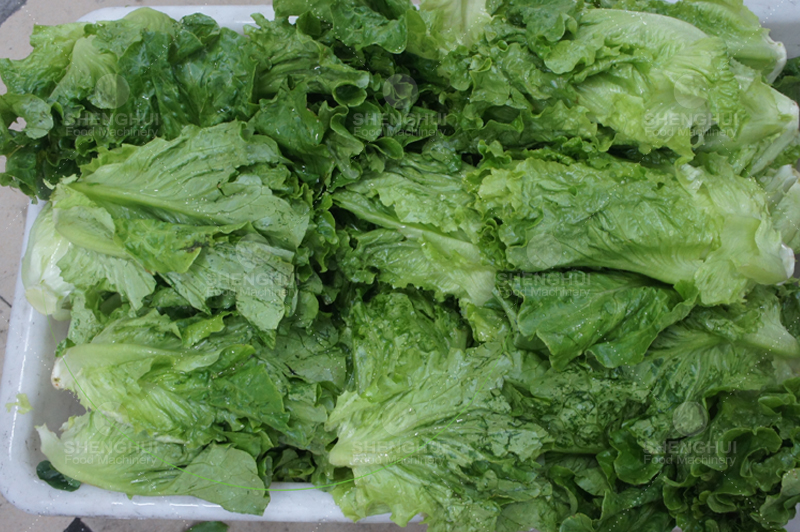 Limpiadora de verduras (5)