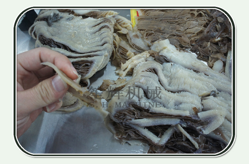 cortadora autom&aacute;tica de alimentos para pollo