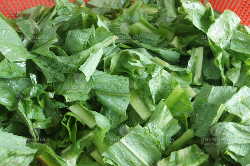 Deshidratador de carne