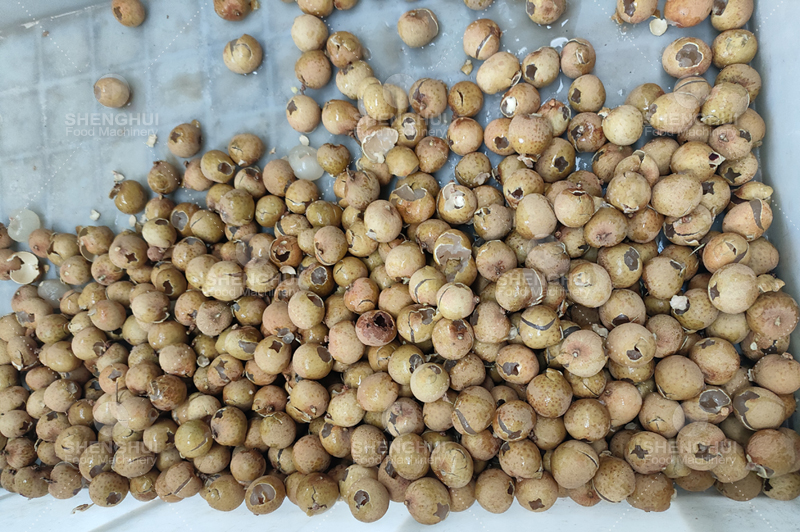 M&aacute;quina extractora de semillas de longan (13).jpg