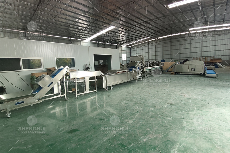 M&aacute;quina extractora de semillas de longan (9).jpg