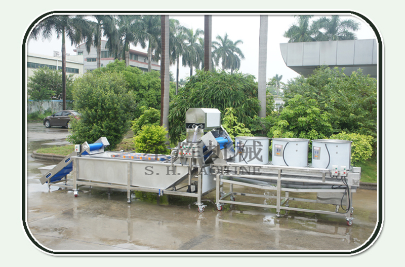 m&aacute;quina de limpieza de lichi