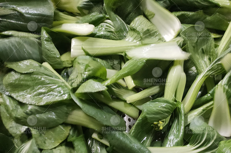 Equipo de procesamiento de frutas 1