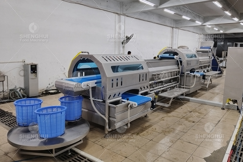 Limpiador de verduras1