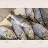 Máquina automática para quitar escamas de pescado, descamadora de pescado, procesadora de mariscos, descamadora de pescado