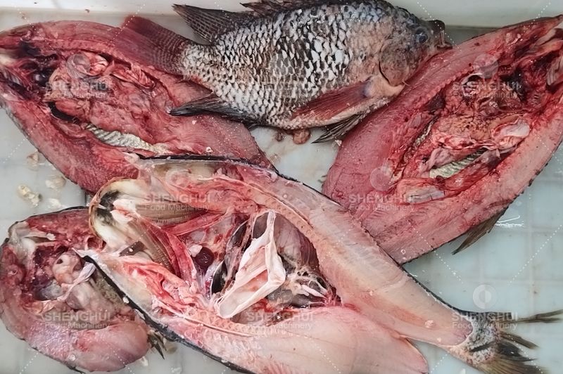 m&aacute;quina para quitar escamas de pescado (3)