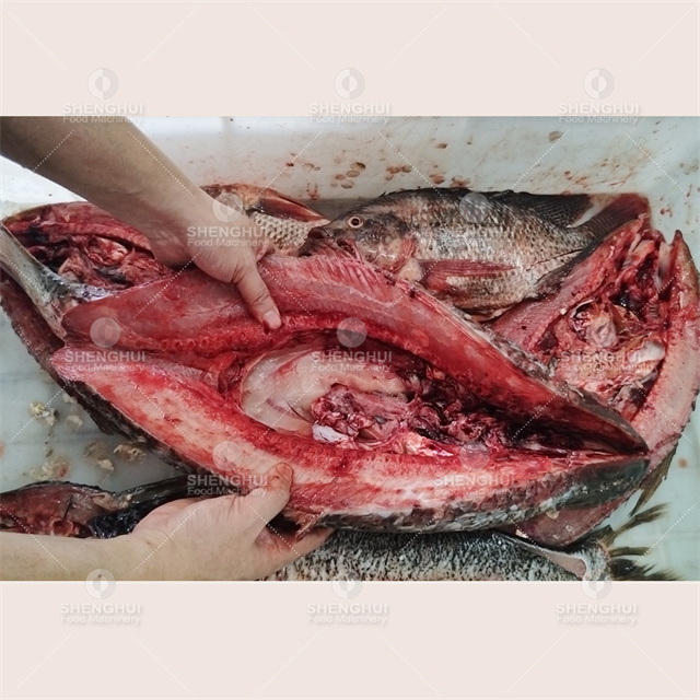 Máquina automática para matar peces, desescamadora de pescado, destripadora de pescado, maquinaria alimentaria, cortadora de filetes de pescado
