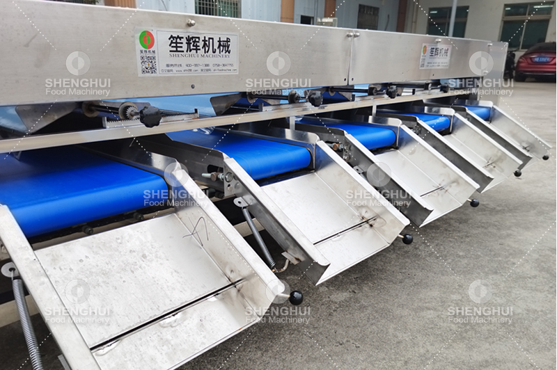 m&aacute;quina clasificadora de frutas (16)