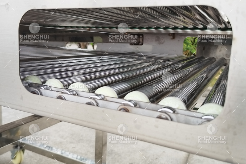 m&aacute;quina clasificadora de frutas (1)