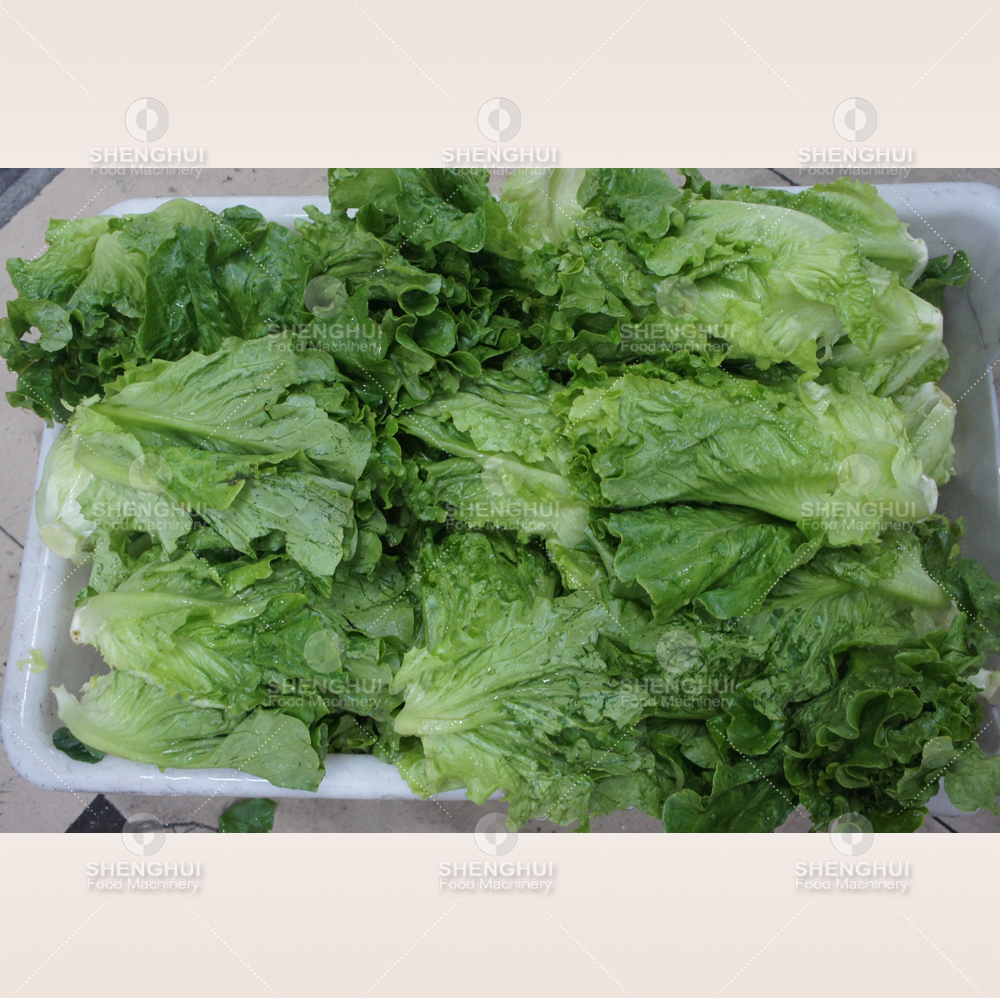 Línea de procesamiento de vegetales comerciales, máquina para lavar vegetales, máquina para limpiar frutas, lavadora de ensaladas no destructiva