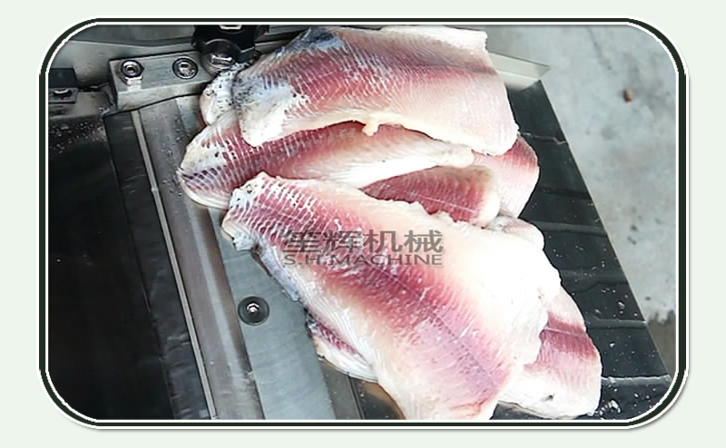 c&oacute;mo despellejar a un desollador de shenghui m&aacute;quina de comida de pescado