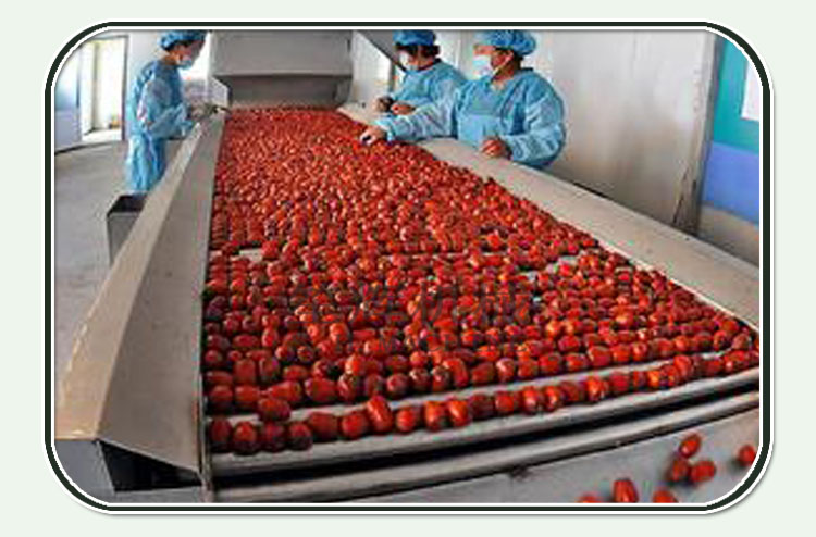 beneficios de la fruta azufaifo