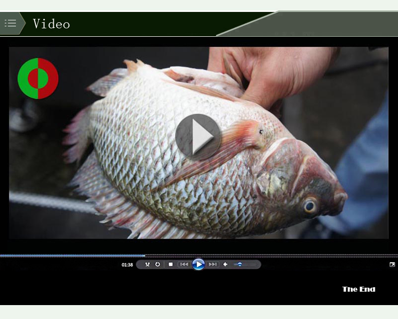 Equipo en procesadora de pescado, m&aacute;quina de alimentos, m&aacute;quina de pescado.