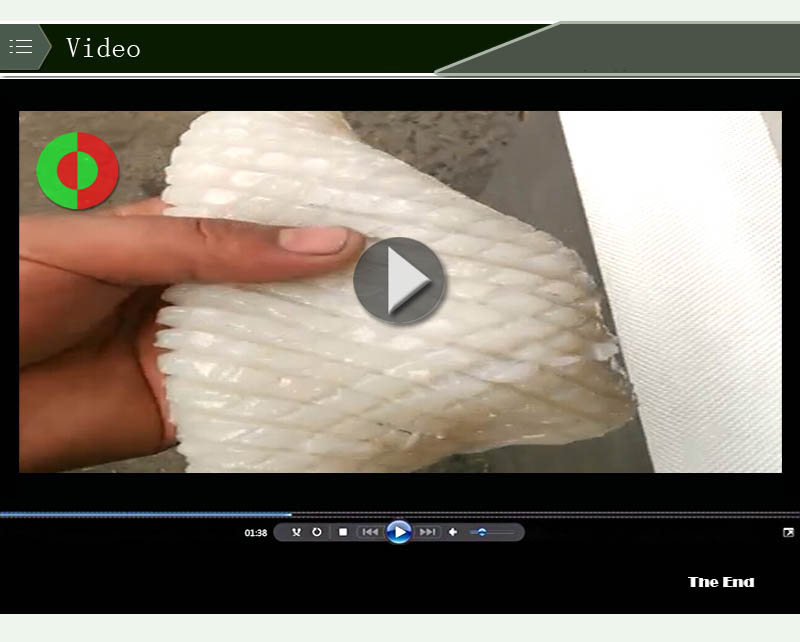 Equipo de flor de corte de calamar