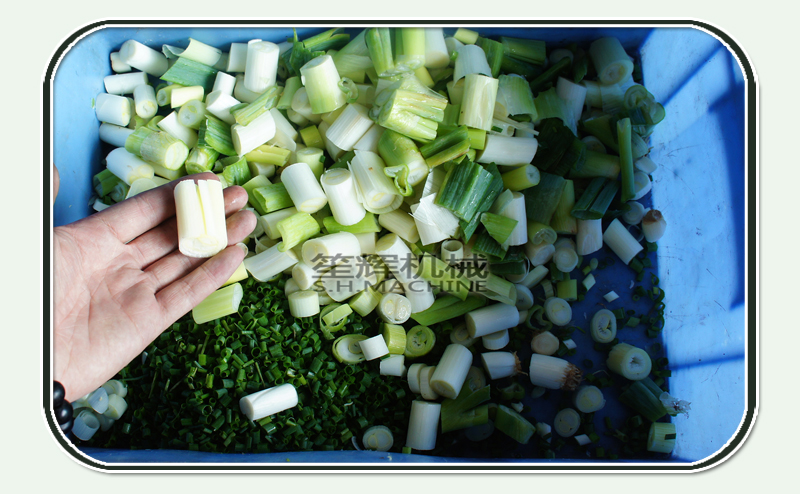 M&aacute;quina cortadora de alimentos, m&aacute;quina de cortar alimentos y frutas.