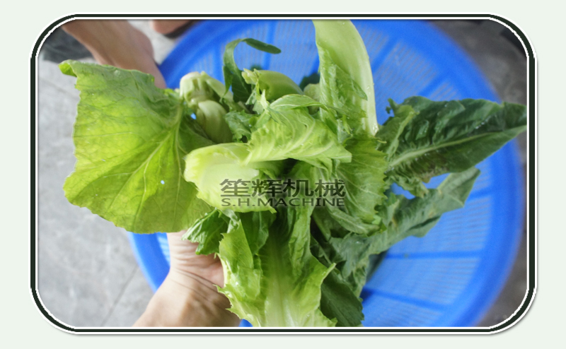 empresas de alimentos deshidratados, m&aacute;quina de alimentos, deshidratadora de frutas