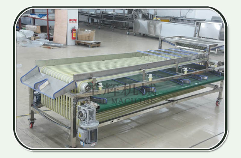 l&iacute;nea de procesamiento de alimentos 1