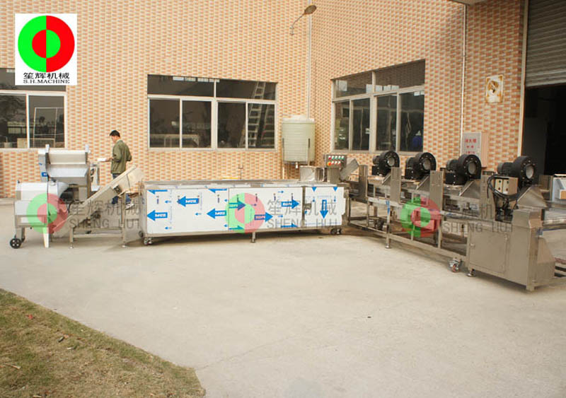 linea de procesamiento de vegetales