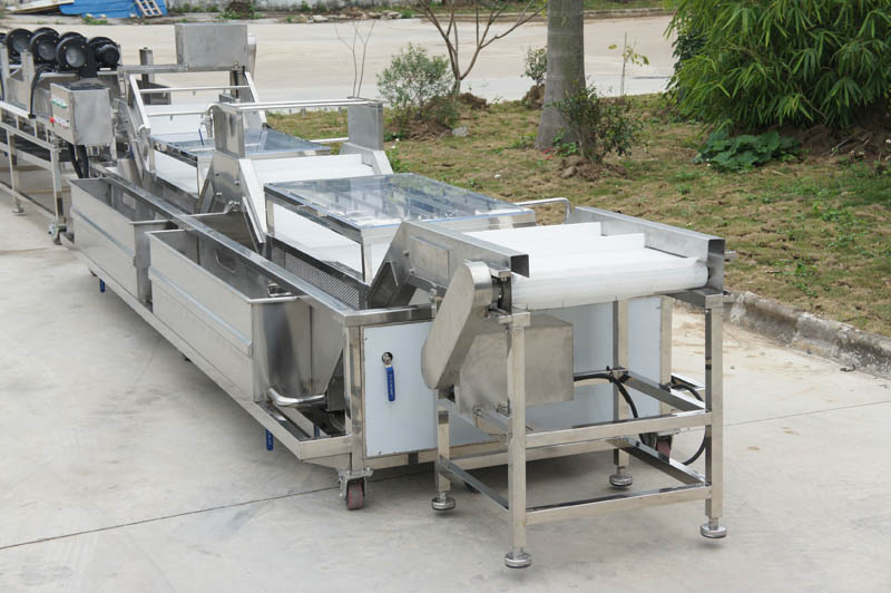 m&aacute;quina de limpieza de lechuga