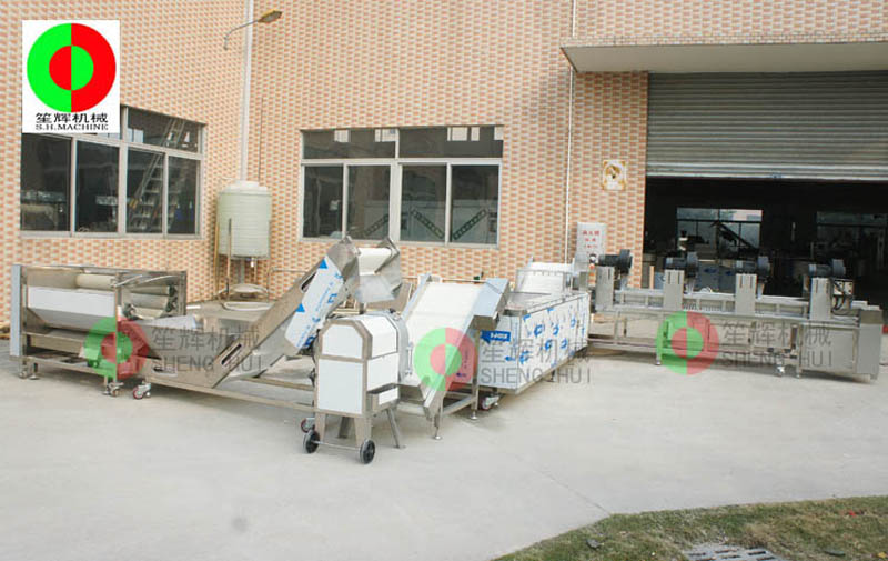 Empresas procesadoras de frutas y verduras.