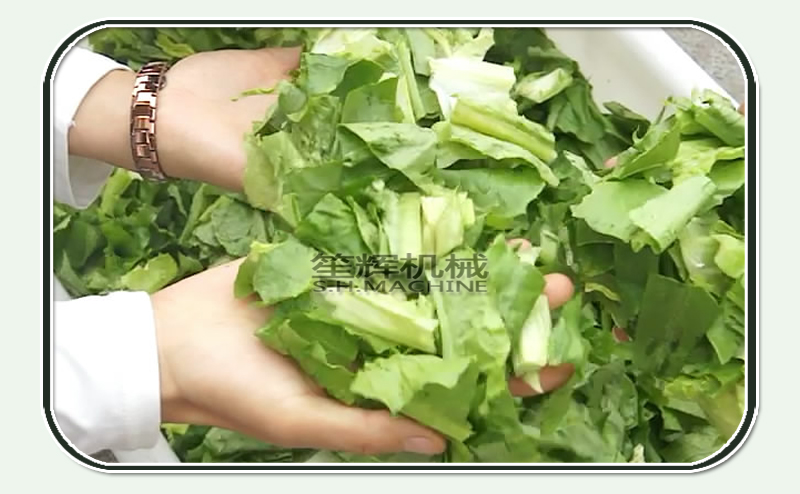 m&aacute;quina de deshidrataci&oacute;n de verduras, comida deshidratada, m&aacute;quina de deshidrataci&oacute;n